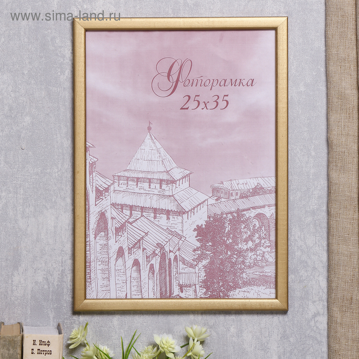 Фоторамка сосна с19 золото 25х35 см (пластиковый экран) Фоторамка сосна с19 золото 25х35 см (пластиковый экран)