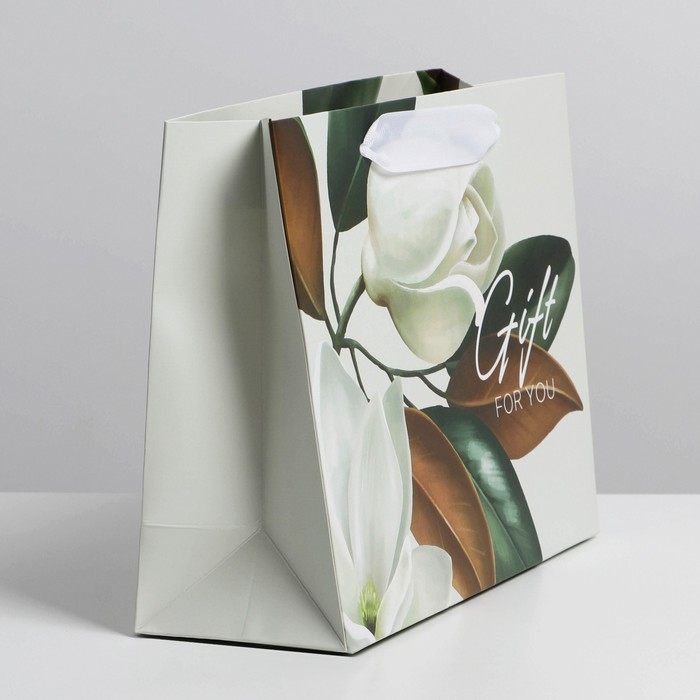 Пакет подарочный ламинированный, упаковка, «Подарок» 22 х 17,5 х 8 см Пакет подарочный ламинированный, упаковка, «Подарок» 22 х 17,5 х 8 см