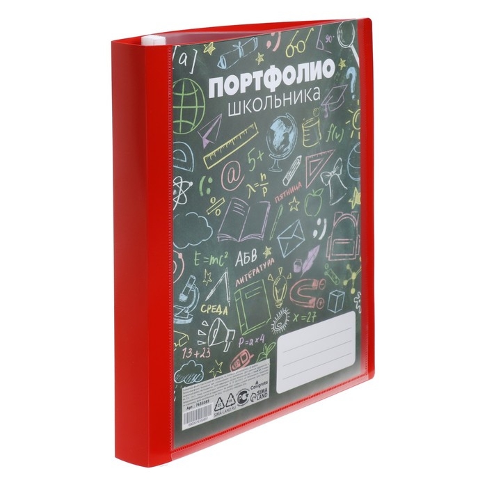 Папка-портфолио А4, Calligrata  Папка-портфолио А4, Calligrata "Веселая школа", пластиковая, на 4 кольцах, для школьника, 20 файлов
