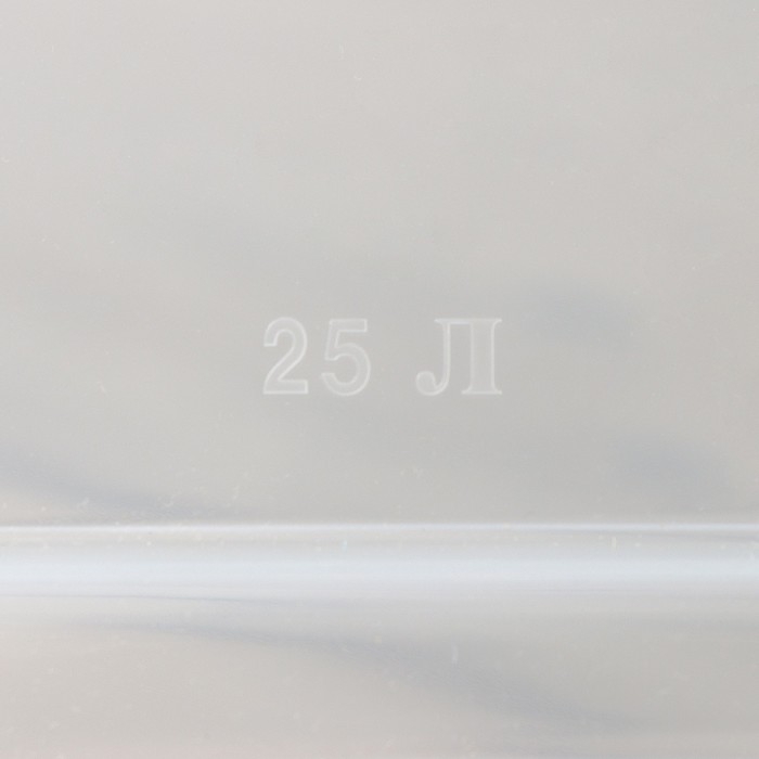 Контейнер для хранения с крышкой, 25 л, 41×29,5×31,2 см, цвет прозрачный