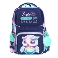 Рюкзак школьный 37х28х14, эргономичная спинка, deVENTE Smart 14L, Happy Owl, для девочек, бирюзовый/фиолетовый