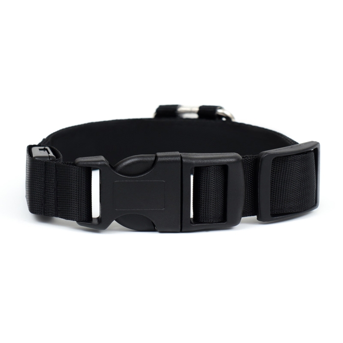 Ошейник с подсветкой Flash 3 режима свечения размер S, ОШ 35-43 х 2,5 см синий Ошейник с подсветкой Flash 3 режима свечения размер S, ОШ 35-43 х 2,5 см синий