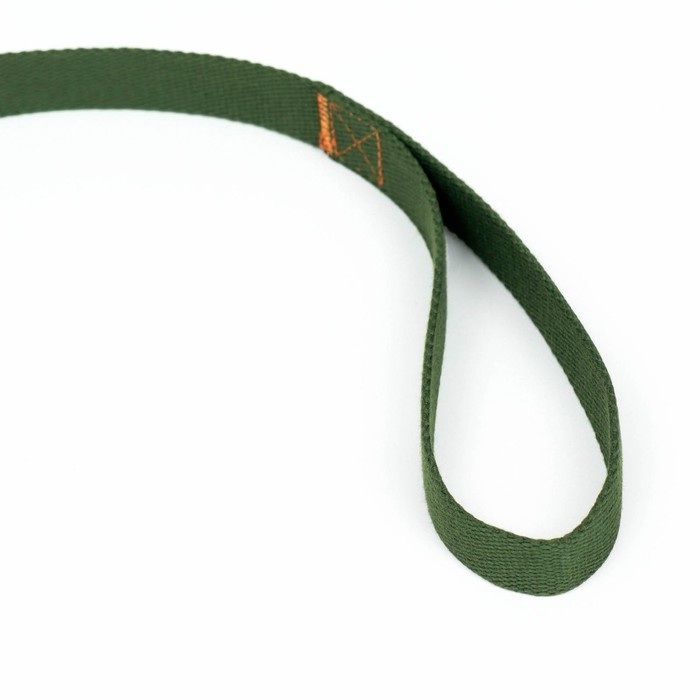 Поводок брезентовый, 5 м х 2,5 см, хаки Поводок брезентовый, 5 м х 2,5 см, хаки