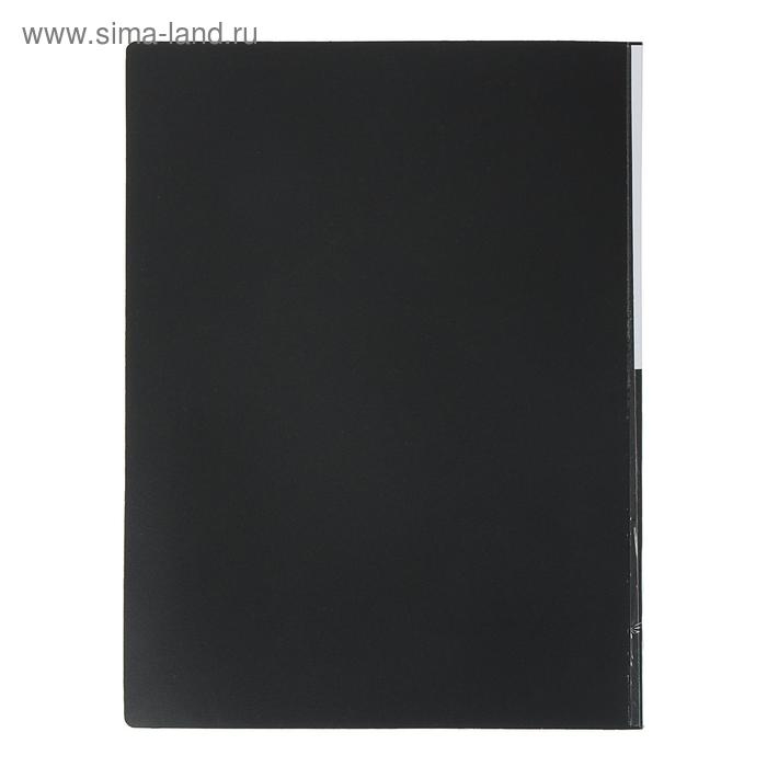 Папка с 40 вкладышами Calligrata А4, 400мкм, МИКС Папка с 40 вкладышами Calligrata А4, 400мкм, МИКС