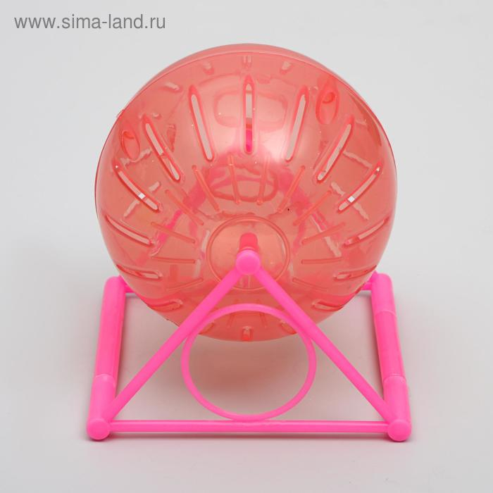 Шар для грызунов на пластиковом основании, 12 см, микс цветов Шар для грызунов на пластиковом основании, 12 см, микс цветов