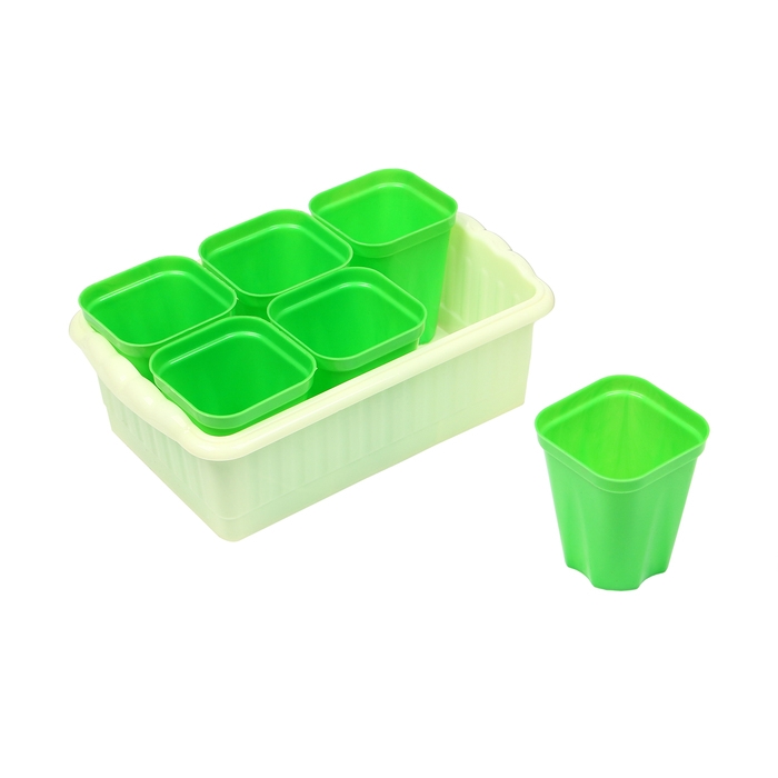 Набор для рассады: стаканы по 250 мл (6 шт.), контейнер 24 × 16 см, МИКС Набор для рассады: стаканы по 250 мл (6 шт.), контейнер 24 × 16 см, МИКС