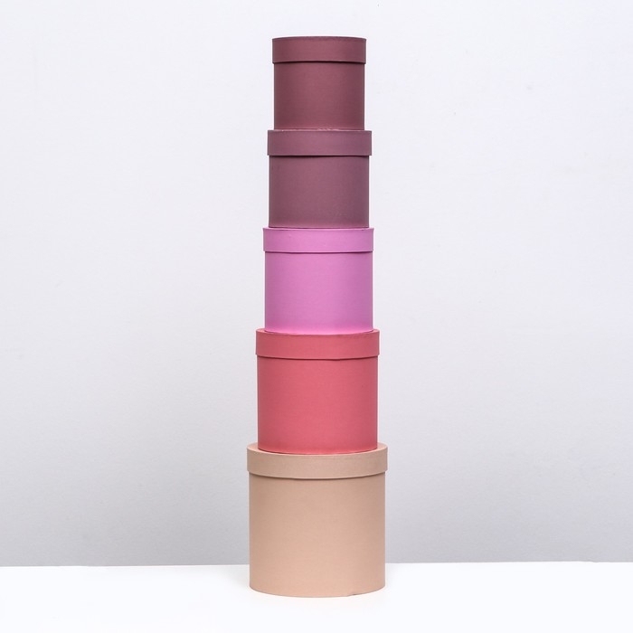 Набор шляпных коробок 5 в 1 Набор шляпных коробок 5 в 1" Кофейный" , 23 х23 - 15 х 15 см