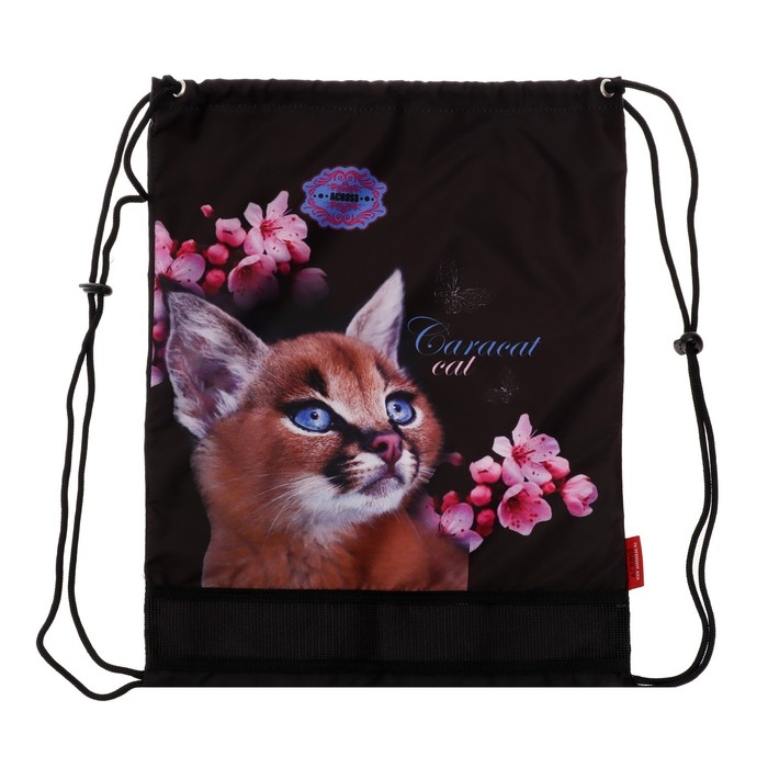 Рюкзак каркасный 36 х 28 х 11 см, Across 198, наполнение: мешок, фиолетовый ACR22-198-5 Рюкзак каркасный 36 х 28 х 11 см, Across 198, наполнение: мешок, фиолетовый ACR22-198-5