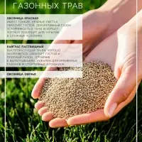 Газонная травосмесь &laquo;Теневыносливая&raquo;, 5 кг