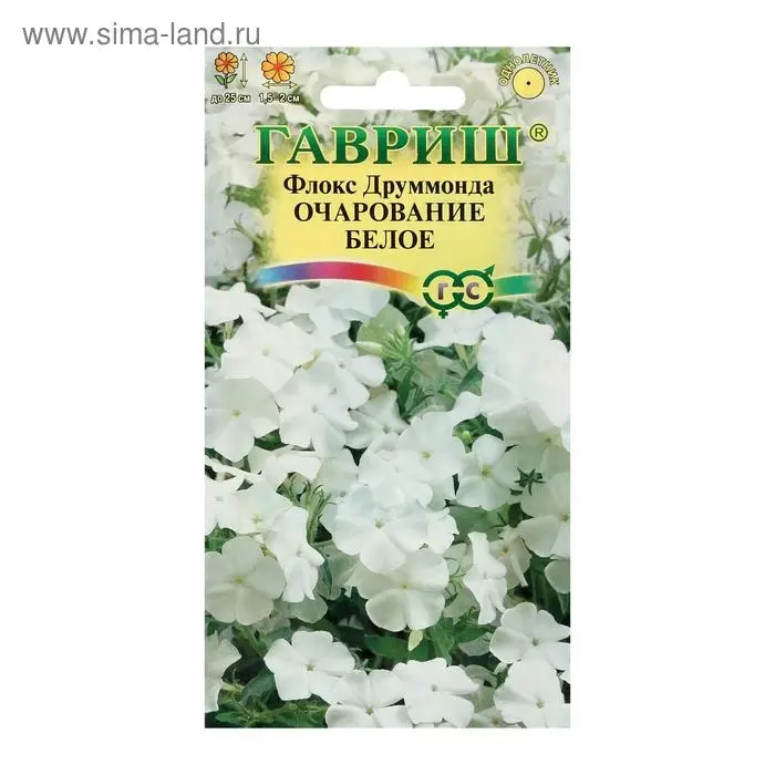 Семена цветов Флокс  Семена цветов Флокс "Очарование белое", ц/п,  друммонда, О, 0,05 г