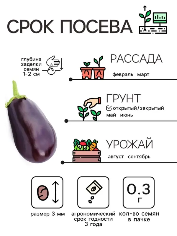 Семена Баклажан «Чёрный красавец», 0.3 г Семена Баклажан «Чёрный красавец», 0.3 г