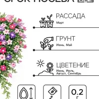 Семена цветов Флокс &laquo;Звездный дождь&raquo;, смесь окрасок, 0.2 г, &laquo;Рецепты дедушки Никиты&raquo;