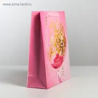 Пакет подарочный ламинированный, упаковка, &laquo;С днём рождения!&raquo;, M 25.5&times;30&times;9 см