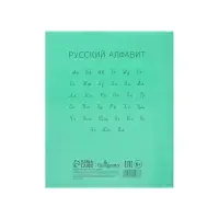 Тетрадь 12 листов линейку Calligrata «Зелёная», пластиковая обложка, блок офсет