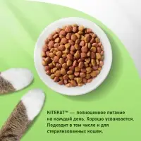 Сухой корм Whiskas для кошек, Телятинка аппетитная, 1.3 кг Сухой корм Whiskas для кошек, Телятинка аппетитная, 1.3 кг