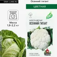 Семена Капуста цветная &laquo;Осенний гигант&raquo;, 0.1 г, &laquo;Удачные семена&raquo;