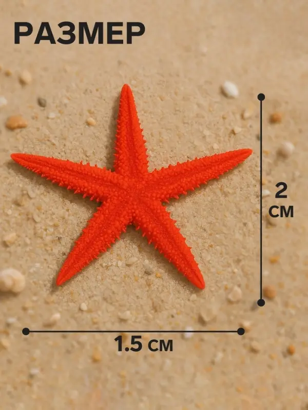 Набор натуральных морских звезд, 1.5-2 см, 20 шт., красный