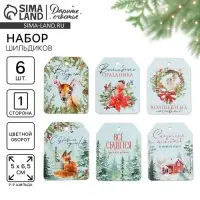Шильдик на подарок «Верь в чудеса», набор 6 штук, 16×24 см