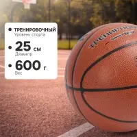 Баскетбольный мяч MINSA, тренировочный, клееный, 8 панелей, р. 7, PU, бутиловая камера