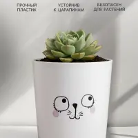 Кашпо для цветов &laquo;Мордочка&raquo;, 1.6 л, d=14 см, h=14 см, пластиковое