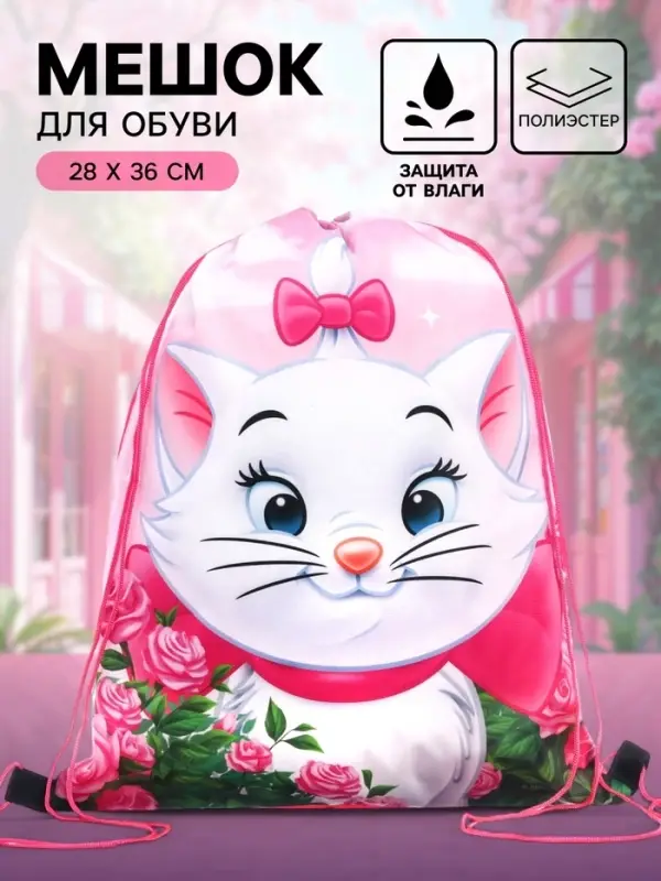 Мешок для обуви 420&times;330 мм, &laquo;Кошечка Мари, Коты аристократы&raquo;