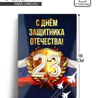Открытка «С 23 Февраля!», 12×18 см
