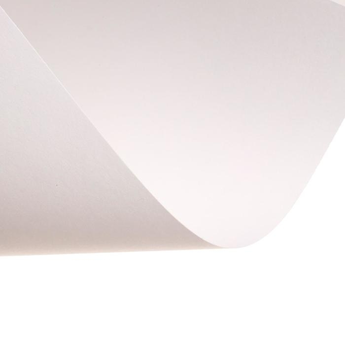 Папка для черчения А4, 24 листа, 200 г/м, BRAUBERG, без рамки, ватман ГОЗНАК КБФ Папка для черчения А4, 24 листа, 200 г/м, BRAUBERG, без рамки, ватман ГОЗНАК КБФ