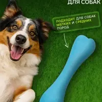 Жевательная игрушка для собак &laquo;Немалая кость&raquo;, 16 см, TPR, синяя