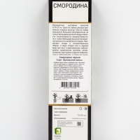 Смородина черная «Орловский вальс », перспективные сорта, саженец, 1 шт., туба