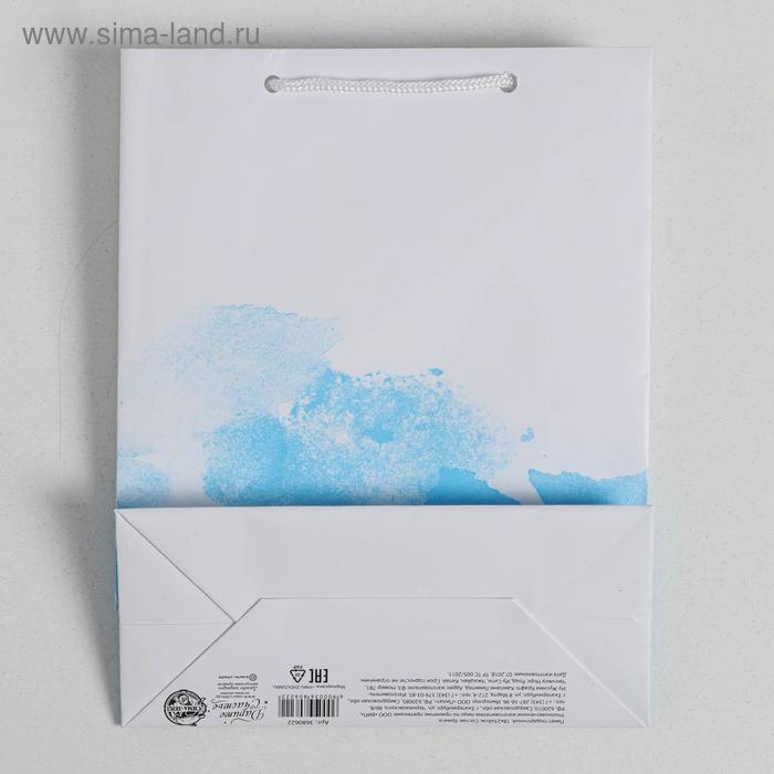 Пакет подарочный ламинированный вертикальный, упаковка, «Краски неба», MS 18 х 23 х 10 см