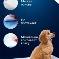 Впитывающие пелёнки для животных &laquo;ПИЖОН&raquo;, 60&times;40 см, гелевые, набор 60 шт.