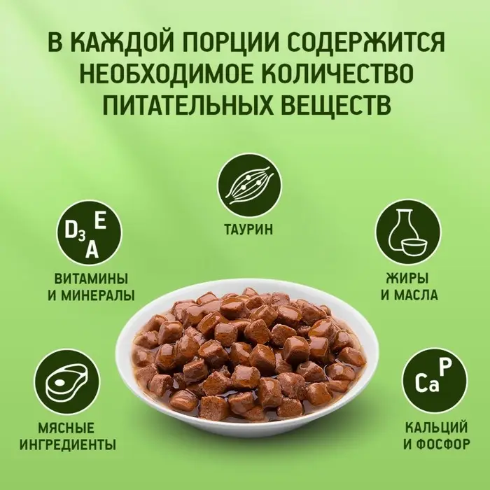 Влажный корм KiteKat для кошек, говядина в соусе, пауч, 85 г Влажный корм KiteKat для кошек, говядина в соусе, пауч, 85 г