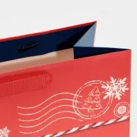 Пакет подарочный новогодний ламинированный &laquo;Посылка для тебя&raquo;, MS 18 х 23 х 10 см