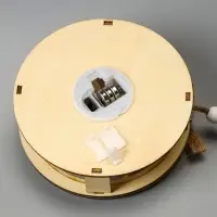 Ёлочная игрушка &laquo;Шар с веткой&raquo;, 10&times;10&times;2 см, от батареек, свечение тёплое белое