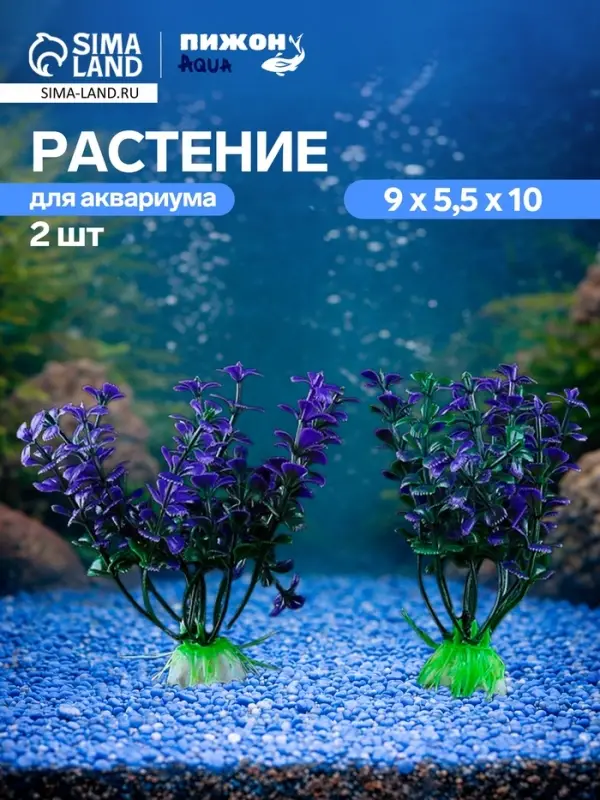 Набор растений для аквариума и террариума - 2 шт., 10 см