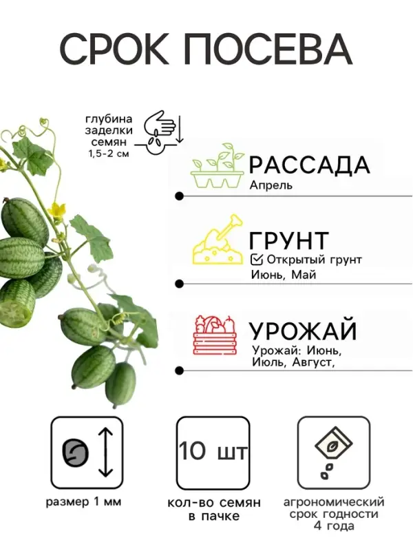 Семена Мелотрия шершавая &laquo;Полосатик&raquo;