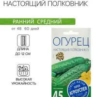 Семена Огурец &laquo;Настоящий полковник&raquo;, F1, ранний, партенокарпический, 8 шт., &laquo;Агроуспех&raquo;