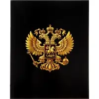 Тетрадь 24 листа в клетку Calligrata &laquo;Россия&raquo;, блок офсет, 5 В МИКС