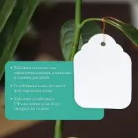 Бирки садовые, для маркировки растений, 6.5&times;5 см, набор 20 шт., пластик, белые, Greengo