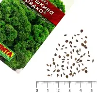 Семена Петрушка кудрявая &laquo;Бабушкина грядка&raquo;, 2 г, &laquo;Аэлита&raquo;