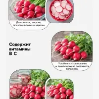 Семена Редис &laquo;16 дней&raquo;, 2 г, &laquo;Агрофирма АЭЛИТА&raquo;