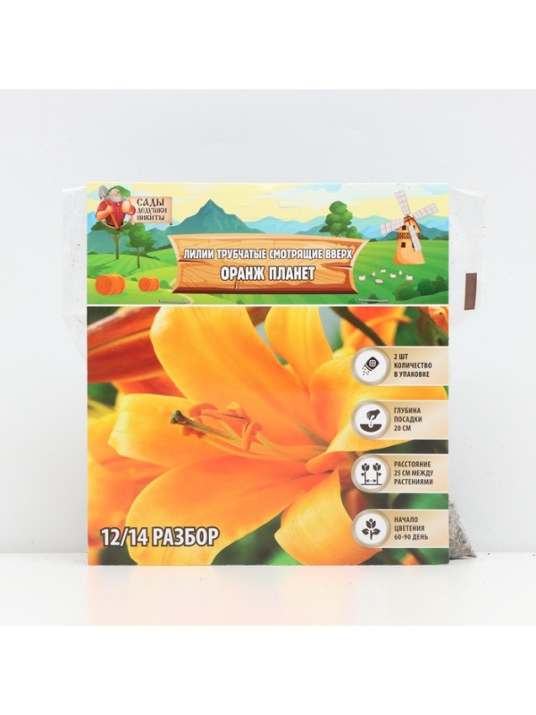 Лилии Трубчатые смотрящие вверх Orange Planet, луковица в пакете с перфорацией, р-р 12/14, 2 шт.