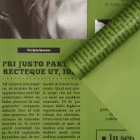 Плёнка флористическая &laquo;Газета любви&raquo;, травяной, 65 мкм, 50&times;57&plusmn;1 см
