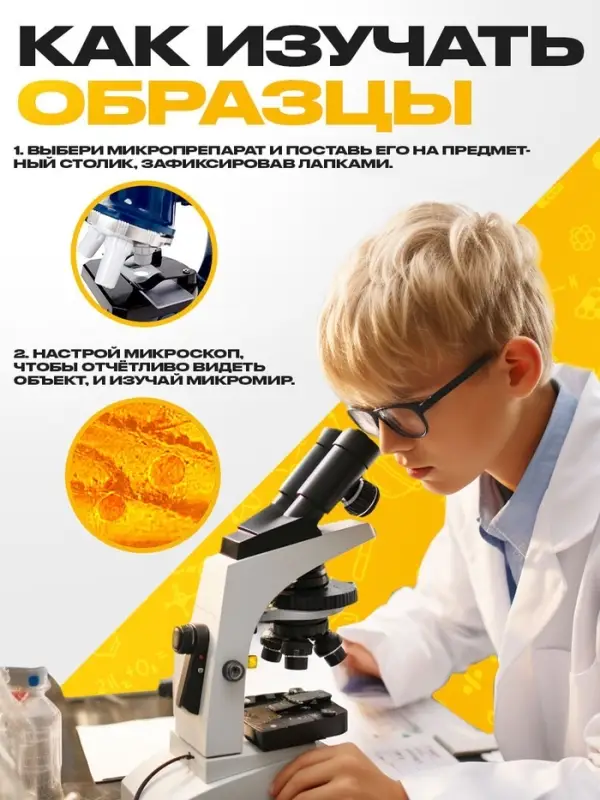 Набор для опытов &laquo;Набор микропрепаратов&raquo;, фрукты и ягоды