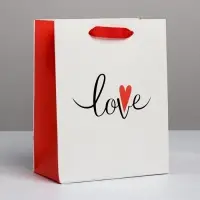 Пакет подарочный ламинированный, упаковка, &laquo;Love&raquo;, MS 18&times;23&times;10 см