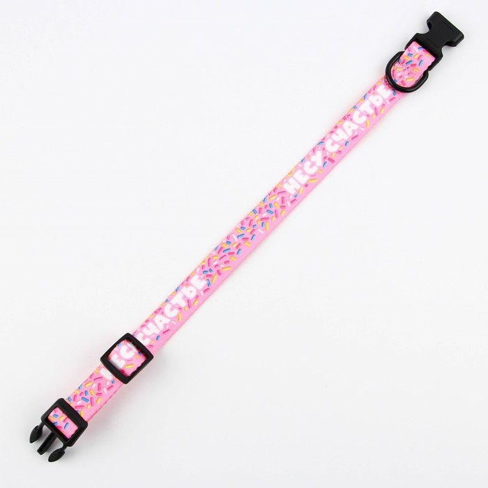 Ошейник «Несу счастье», застёжка - фастекс, 2 см 25-40 см Ошейник «Несу счастье», застёжка - фастекс, 2 см 25-40 см