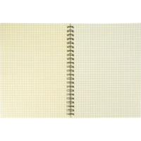 Бизнес-тетрадь 60л,кл,А5,Yellow Pad,спираль,тон.блок 70г/м