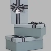 Набор подарочных коробок 3 в 1, прямоугольные 23&times;16&times;9.5 21&times;14&times;8.0 19&times;12&times;6.5 см