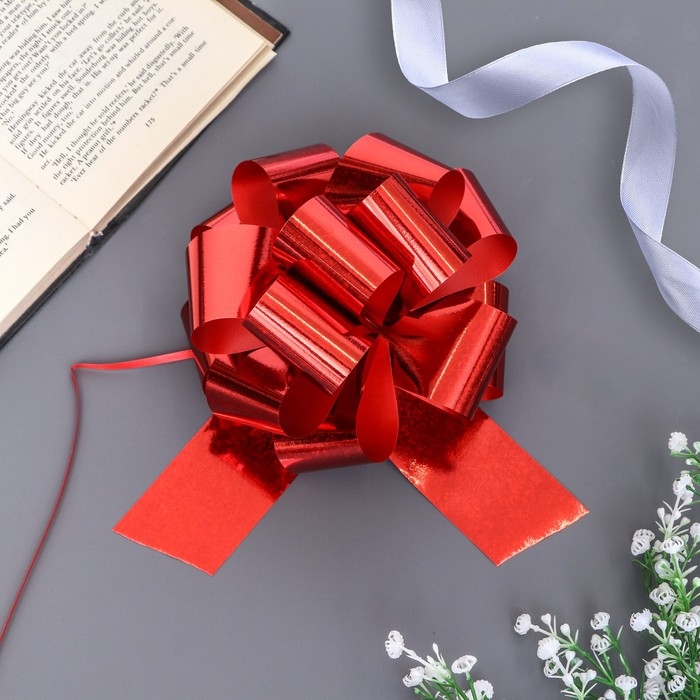 Бант-шар №5 Бант-шар №5