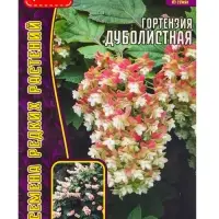 Семена цветов Гортензия Дуболистная  20 шт.  12.29 г.